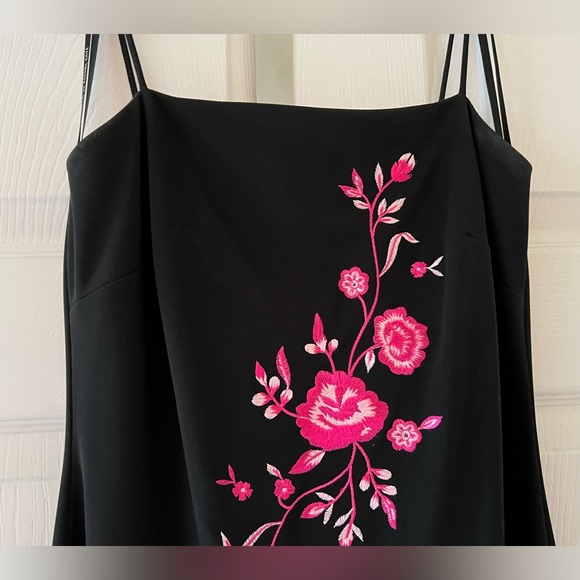 Arianna/Rachel Kaye gorgeous sleeveless gown w amazing embroidery. Size 6. - Picture 3 of 11